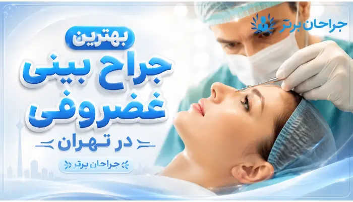بهترین جراح بینی غضروفی در تهران- جراحان برتر